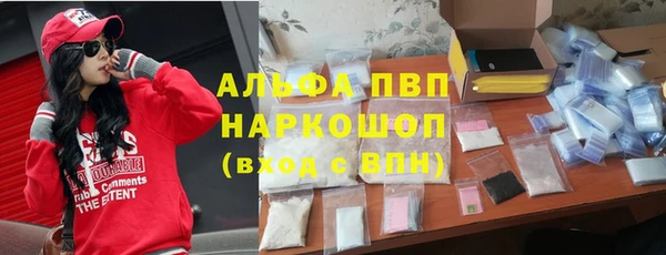 PSILOCYBIN Баксан