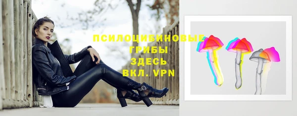 PSILOCYBIN Баксан