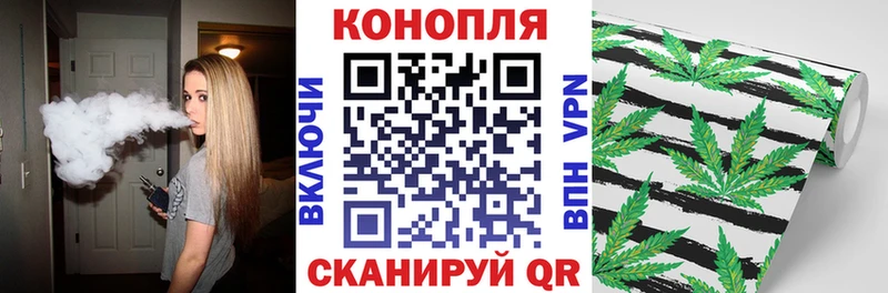 МАРИХУАНА сатива  Верея 